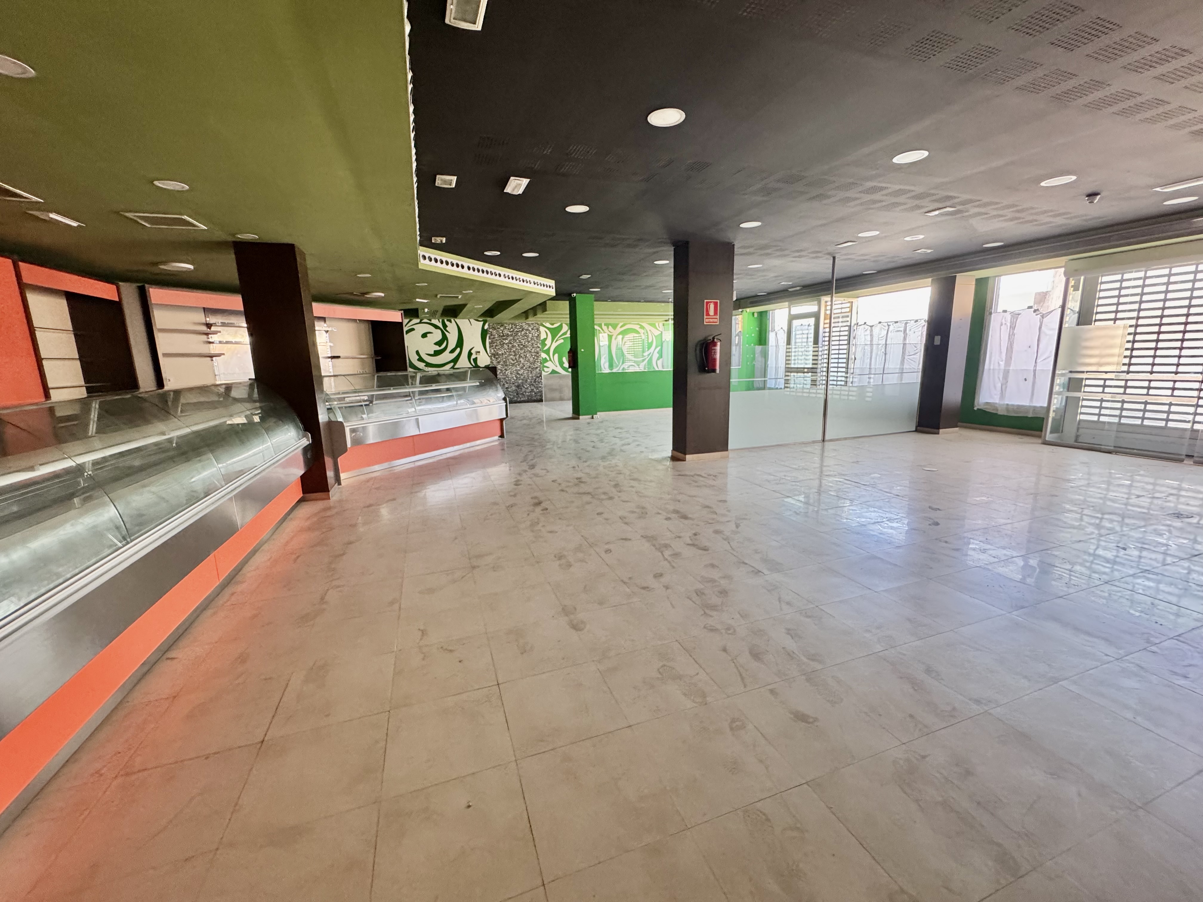 Imagen Galería 11