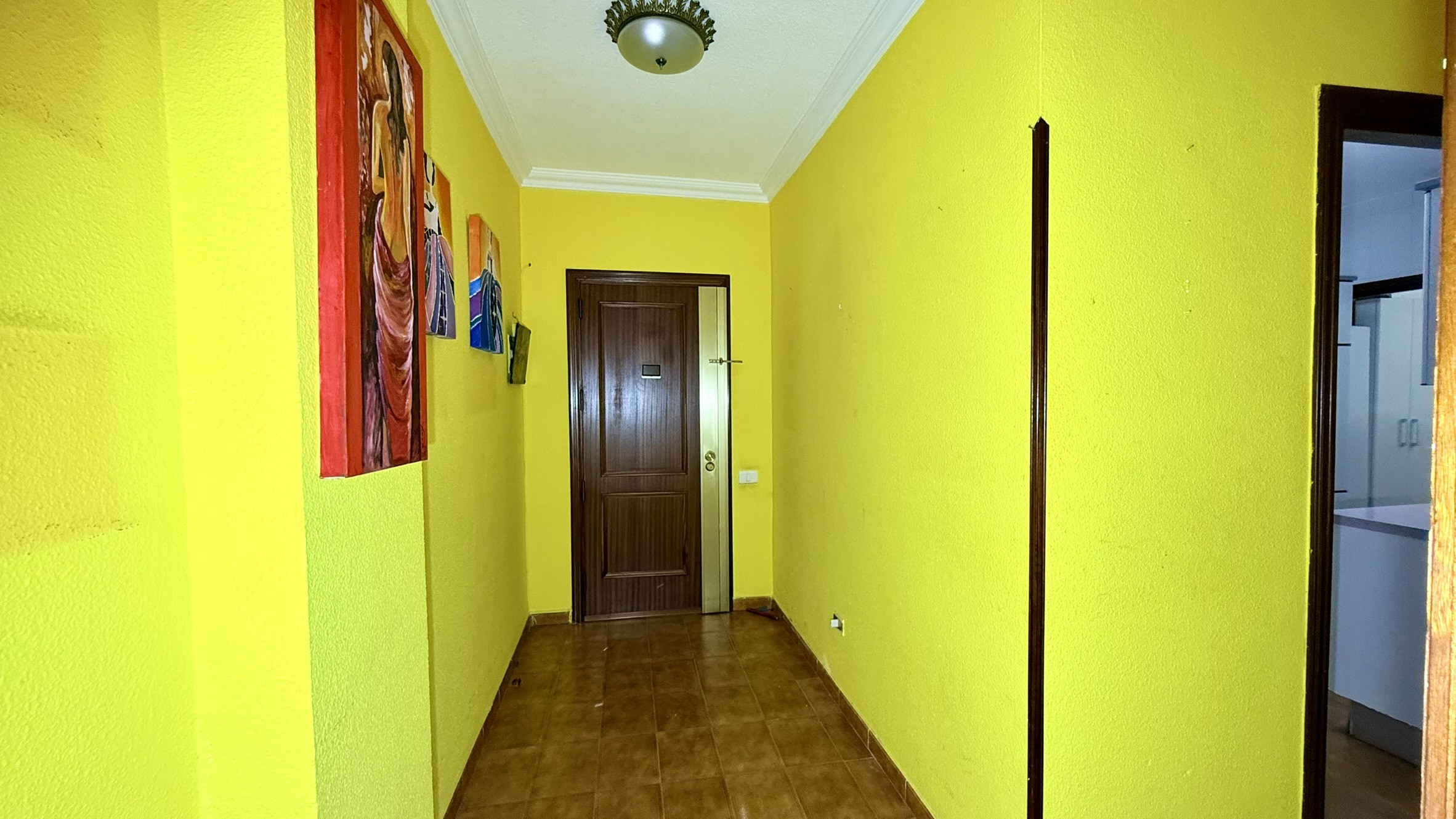 Imagen Galería 6